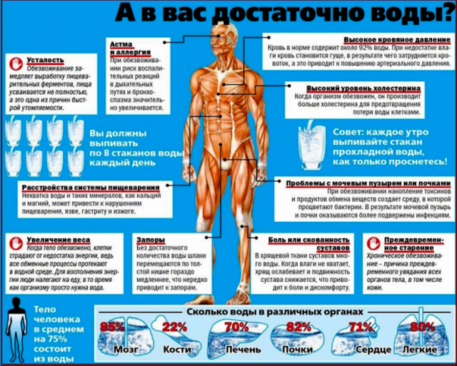 Как вылечить обезвоживание организма: способы восстановления организма после обезвоживания