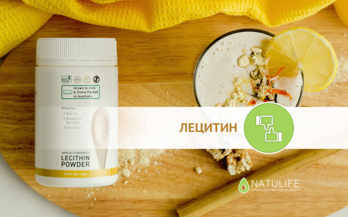 Лецитин: польза и вред для организма