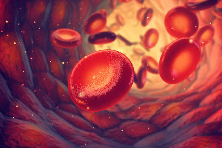 Основные симптомы анемии и ее лечение