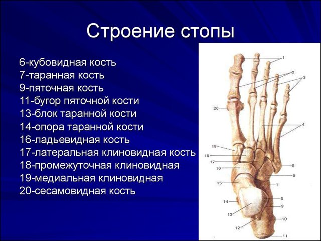 Почему при ходьбе сильно болит стопа