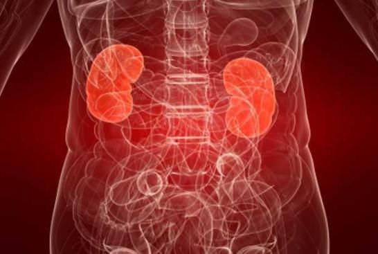 Причины и симптомы воспаления почек