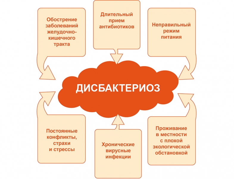 Профилактика дисбактериоза кишечника