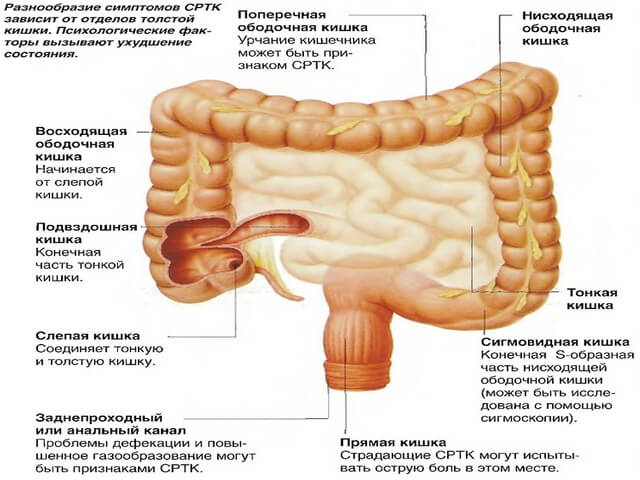 Расстройство кишечника