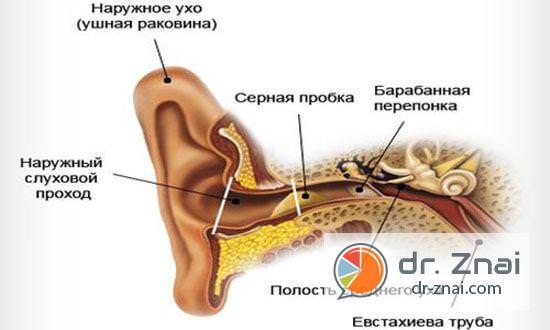 Серная пробка в ухе — что делать?
