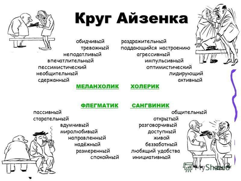 Типы темперамента человека