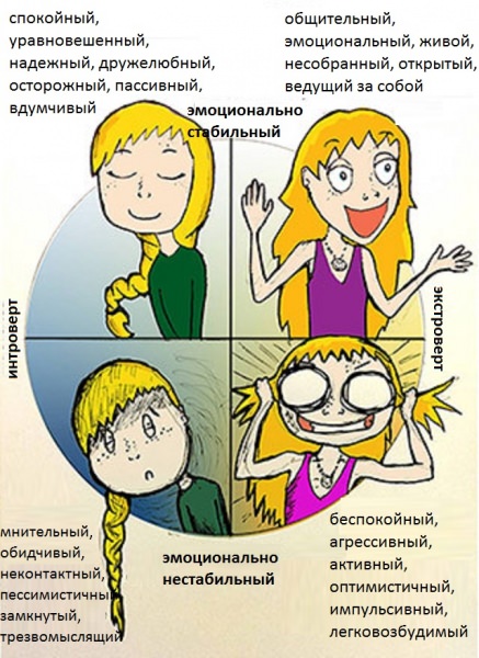 Типы темперамента человека