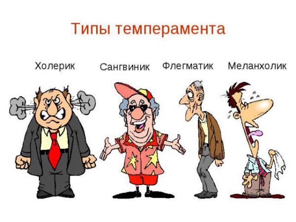 Типы темперамента человека