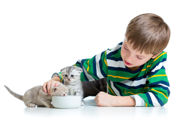 Воспитание ответственности у ребенка