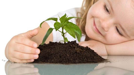 Воспитание ответственности у ребенка