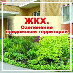 Заведующий сектором жкх что