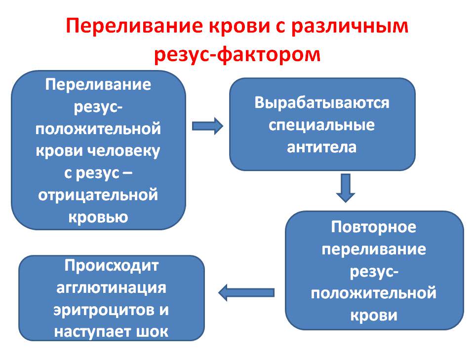 Общая схема трансфузий